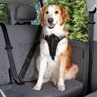 Trixie Göğüs Köpek Tasması Siyah