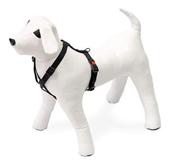 Karlie Ayarlanabilir XL Göğüs Köpek Tasması Siyah