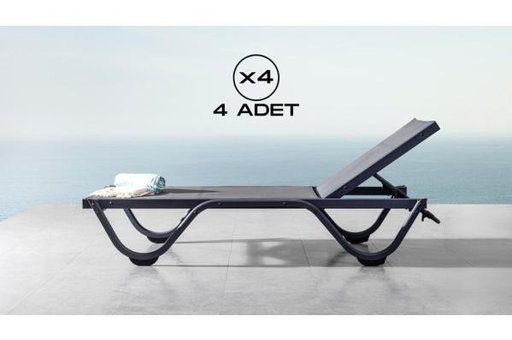 Vieno Home Garden 4'lü Alüminyum Katlanır Şezlong Antrasit
