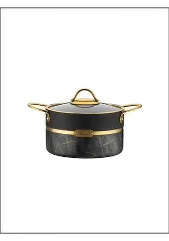 Brioni Selection Plus 2 Parça 24 cm Granit Derin Tencere