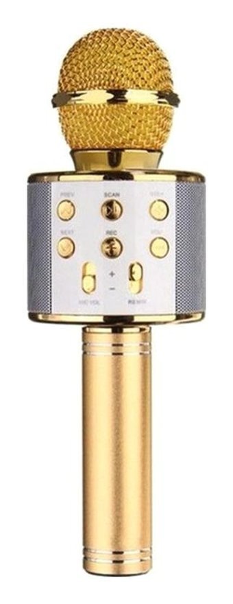 Powermaster PM-17185 Kablosuz Bluetooth El Mikrofonu Altın
