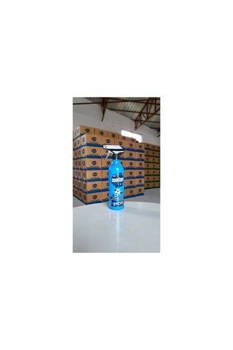 Insectum Sprey Karınca İlacı 500 ml