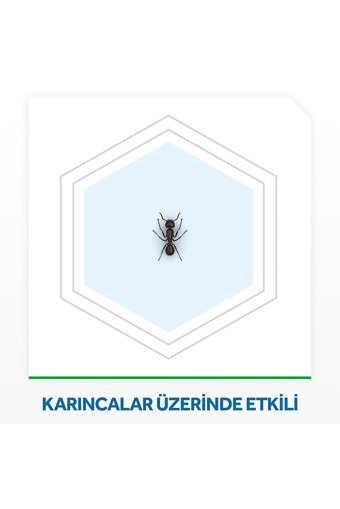 Raid Tablet Karınca Yemi 4 Adet