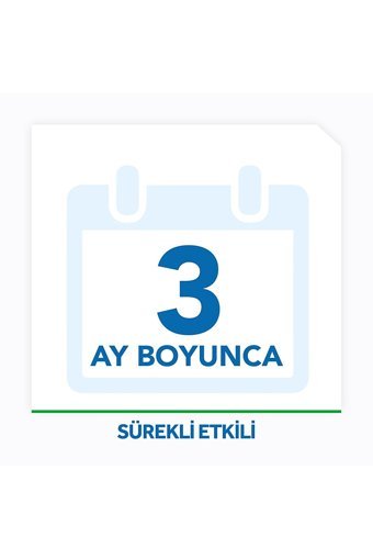 Raid Tablet Karınca Yemi 4 Adet