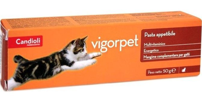 Candioli Vigorpet B Vitamini E Vitamini Multivitamini Bağışıklık Güçlendirici Yetişkin Kedi Vitamini Macun 50 gr