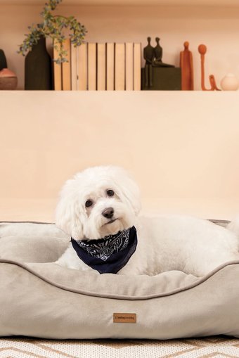 Yataş Miu Yıkanabilir Tüm Irklar İç Mekan Köpek Yatağı Bej