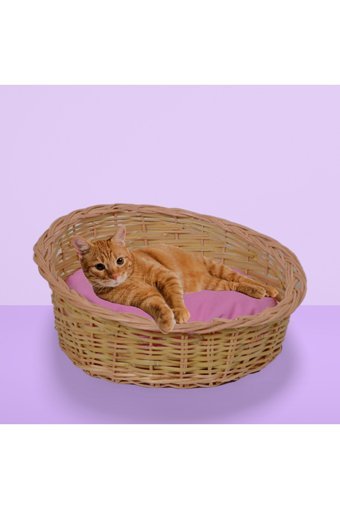 Bygolden Yıkanabilir Ayaklı Küçük Irk İç Dış Mekan Köpek Yatağı Pudra