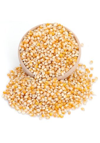 Gaziantep Pazarı Patlayan Mısır 10 kg