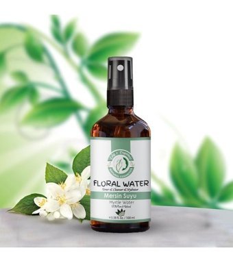 Edy's Organics Yağlı Ciltler İçin Gözenek Sıkılaştırıcı Leke Giderici Sprey Tonik 54 ml