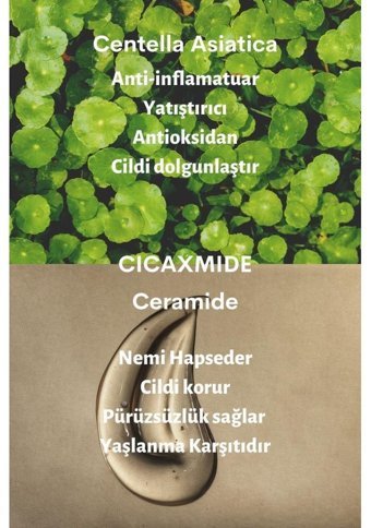 Dermal Ugarden Tüm Cilt Tipleri İçin Leke Giderici Likit Tonik 200 ml