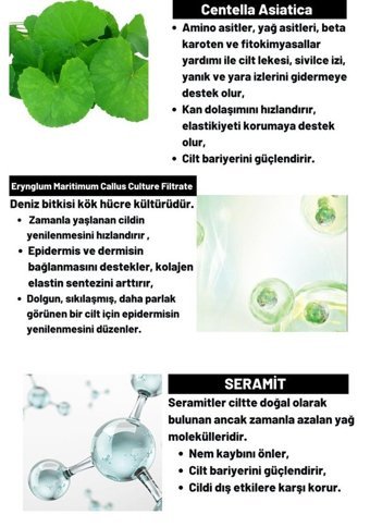 Dermal Cica x Mide Tüm Cilt Tipleri İçin Gözenek Sıkılaştırıcı Leke Giderici Likit Tonik 200 ml
