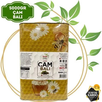 Baştan Yöresel Çam Balı 5 kg