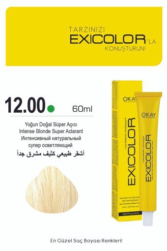 Exicolor 12.00 Yoğun Doğal Süper Açıcı Krem Saç Boyası 2x60 ml