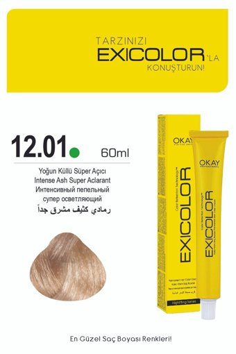 Exicolor 12.01 Yoğun Küllü Süper Açıcı Krem Saç Boyası 2x60 ml
