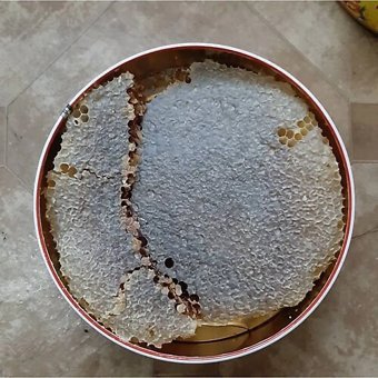 Bal'bee Karakovan Petek Balı 1 kg