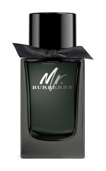 Burberry Mr Burberry EDT Baharatlı-Odunsu Erkek Parfüm 50 ml