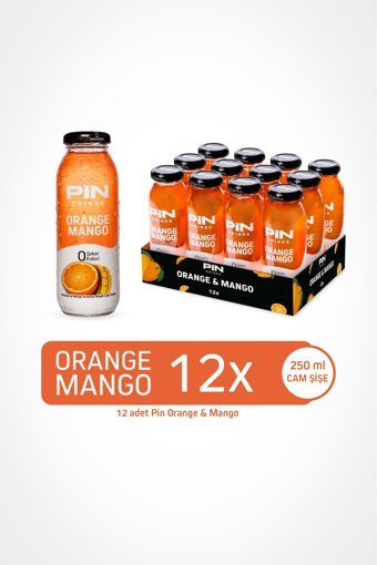 Pin Mangolu-Portakallı Soğuk Çay 12x250 ml