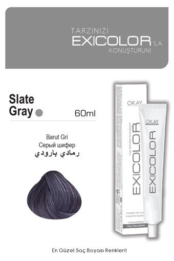 Exicolor Barut Gri Krem Saç Boyası 2x60 ml