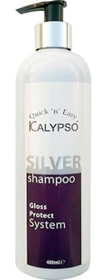 Icalypso Silver Arındırıcı Tüm Saçlar İçin Sade Standart Unisex Şampuanı