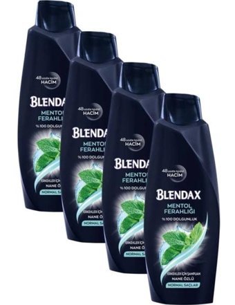 Blendax Arındırıcı Tüm Saçlar İçin Sade Standart Erkek Şampuanı