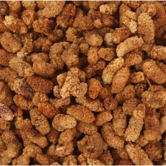 Lezzet Festivali Hoşaflık Dut Kurusu 1 kg