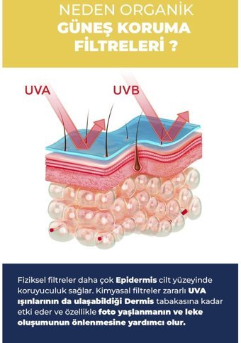 Eliamora 50 Faktör Hassas Ciltler İçin Yağsız Suya Dayanıklı Parabensiz Bebek Yüz ve Vücut Güneş Kremi 50 ml