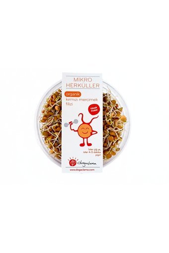 Doğaçlama Gıda Organik Filizlendirilmiş Kırmızı Mercimek 250 gr