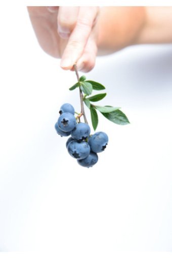 E-Aktariye Blueberry 250 gr