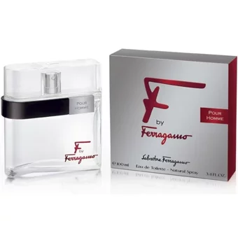Salvatore Ferragamo Pour Homme EDT Erkek Parfüm 100 ml