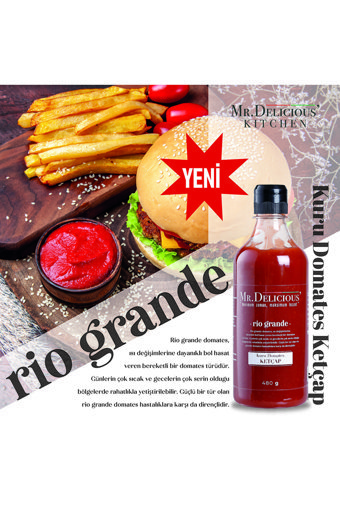 Mr.Delicious' Acısız Ketçap 480 gr