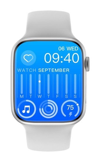 Wiwu SW01 Pro Akıllı Saat Gümüş