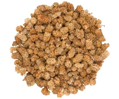 Orgibite Organik Dut 70 gr