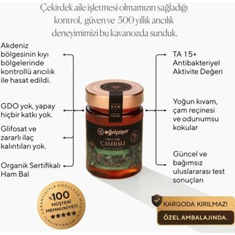 Eğriçayır Organik Çam Balı 450 gr