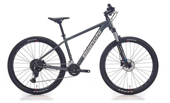 Bianchi MAGMA 29.1 29 Jant 24 Vites Dağ Bisikleti Gri
