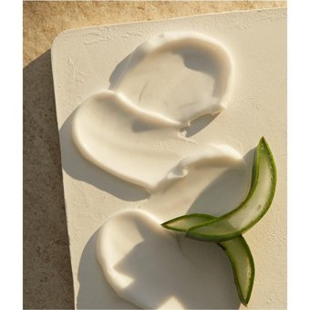 Nivea Yatıştırıcı Bakım Aloeveralı Kuru Ciltler Organik Vegan Parfümlü El Kremi 75 ml