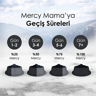Mercy Kuzu Etli Yetişkin Kuru Kedi Maması 10 kg