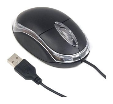 Raynox RX-M02 Kablolu Siyah Optik Mouse