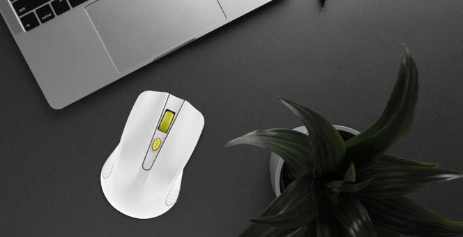 Blic BWM5 Ergonomik Makrolu Kablosuz Beyaz Optik Gaming Mouse