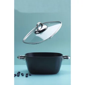 Schafer Gastronomie Master Cam Kapaklı 2 Parça 20 cm Döküm Derin Tencere