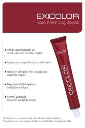 Exicolor 10.111 Ekstra Küllü Platin Krem Saç Boyası 2x60 ml