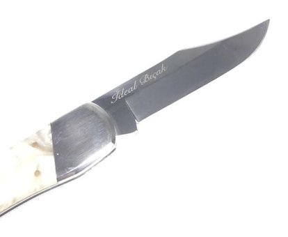 Victorinox 5.8406 35 cm Paslanmaz Çelik Et Bıçağı