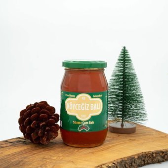Köyceğiz Çam Balı 450 gr