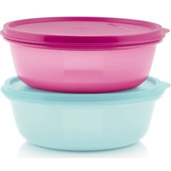 Tupperware 4'lü Plastik Saklama Kabı 2x600 ml
