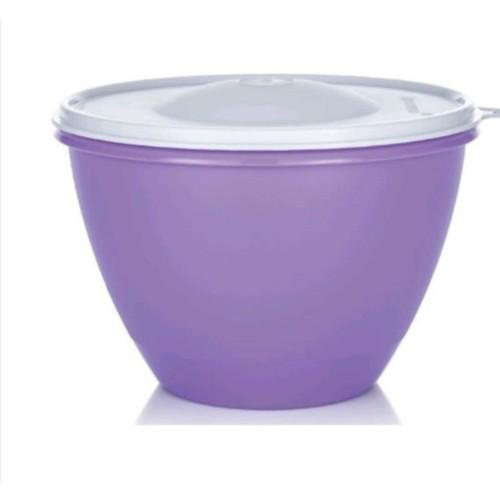 Tupperware Kubbeli 2'li Plastik Saklama Kabı 1.9 lt