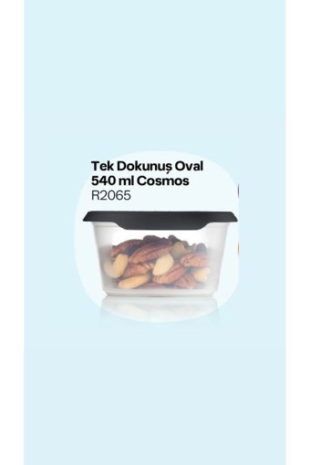 Tupperware Tek Dokunuş 2'li Plastik Saklama Kabı 540 ml