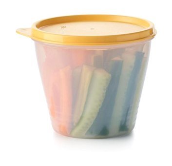Tupperware Güneş 2'li Plastik Saklama Kabı 800 ml