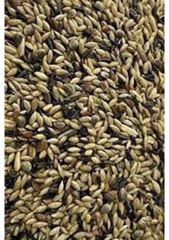Tuana Kafes Kabuksuz Karışık Standart Kuş Yemi 1 kg