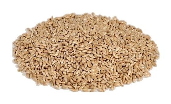 Versele Lagra Kabuksuz Aspir Tohumlu Vitaminli Yetişkin Kuş Yemi 1 kg