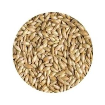 Burakpet Kabuksuz Aspir Tohumlu Standart Kuş Yemi 1 kg