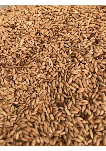 Vivid Bird Kabuksuz Aspir Tohumlu Vitaminli Yetişkin Kuş Yemi 20 kg